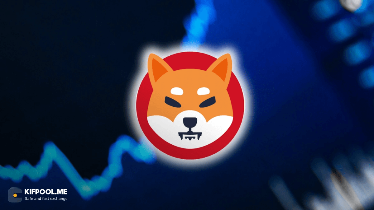 shib-exchange-outflows-price-recovery