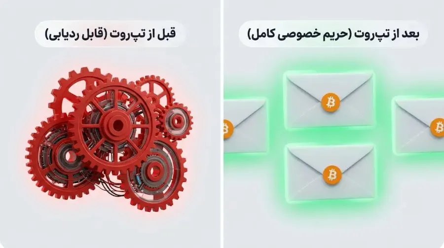 آپدیت تپ روت (Taproot) چیست و چه کمکی به حریم خصوصی کاربران کرد؟ | صرافی کیف پول من