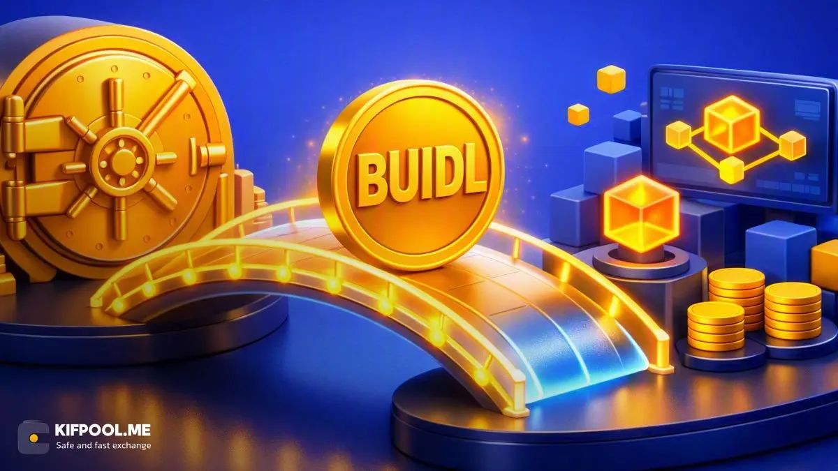 صندوق BUIDL بلک راک چیست؟ معرفی بزرگترین صندوق دارایی‌های توکنیزه‌شده در جهان
