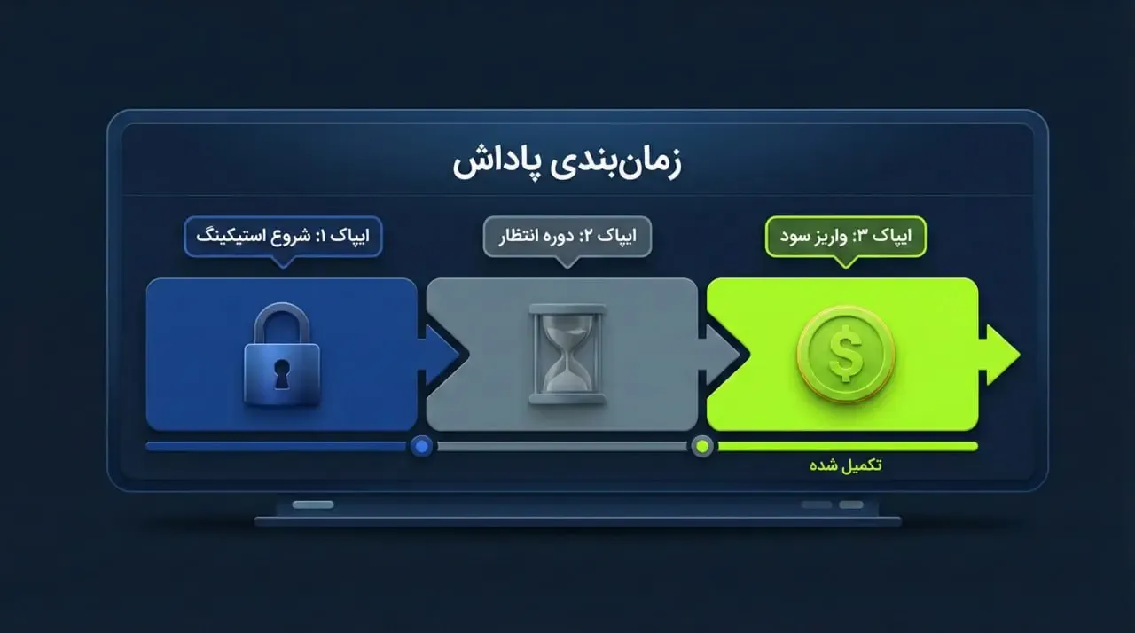 زمان بندی پاداش | صرافی کیف پول من
