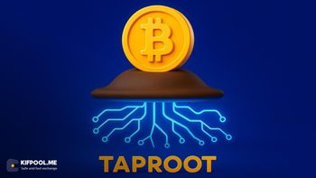 تپ روت (Taproot) چیست و چه تاثیری بر کاهش کارمزد بیت کوین دارد؟