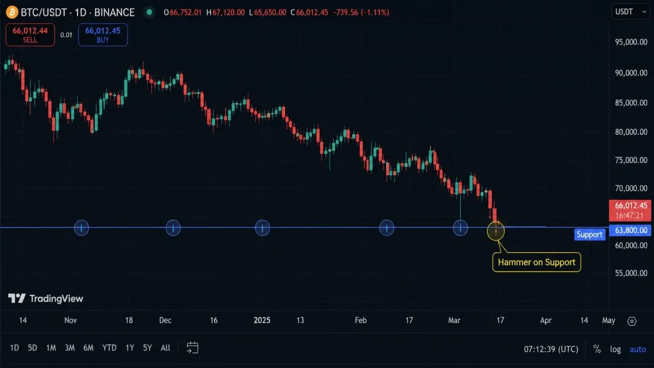 معامله با کندل چکش در محدوده&zwnj;های حمایت و مقاومت (Support/Resistance) | کیف پول من