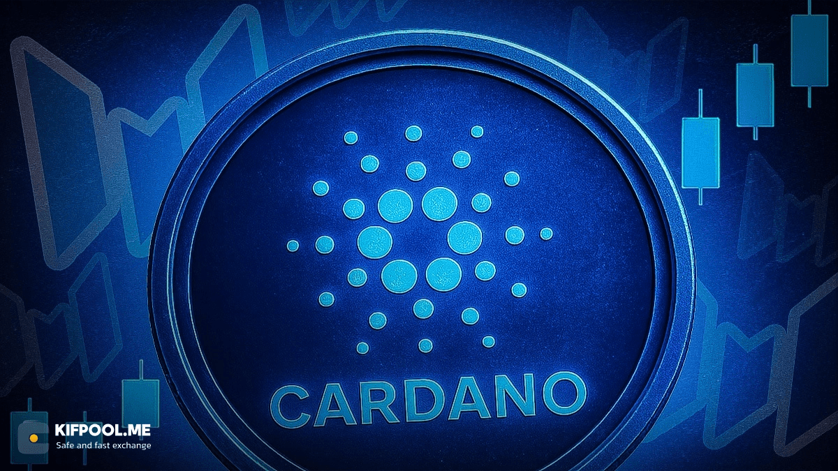 cardano-market-warning-february