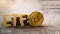 کدام ETF ارز دیجیتال بیشترین سرمایه را جذب کرد؟ نه بیتکوین بود و نه اتریوم!
