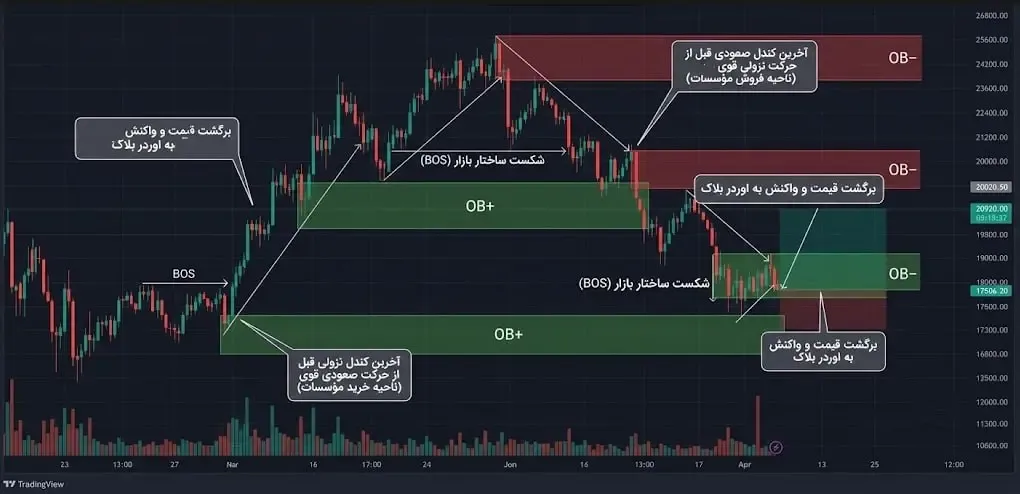اندیکاتور Order Block مبتنی بر پرایس اکشن | صرافی کیف پول من