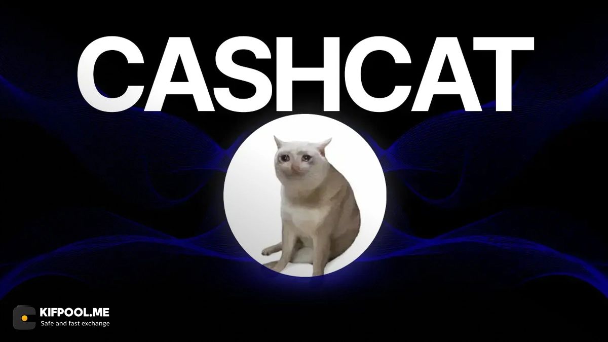 سقوط ۶۵ درصدی CASHCAT در یک هفته؛ پایان یک میم‌کوین دیگر یا شروع یک پامپ جدید؟