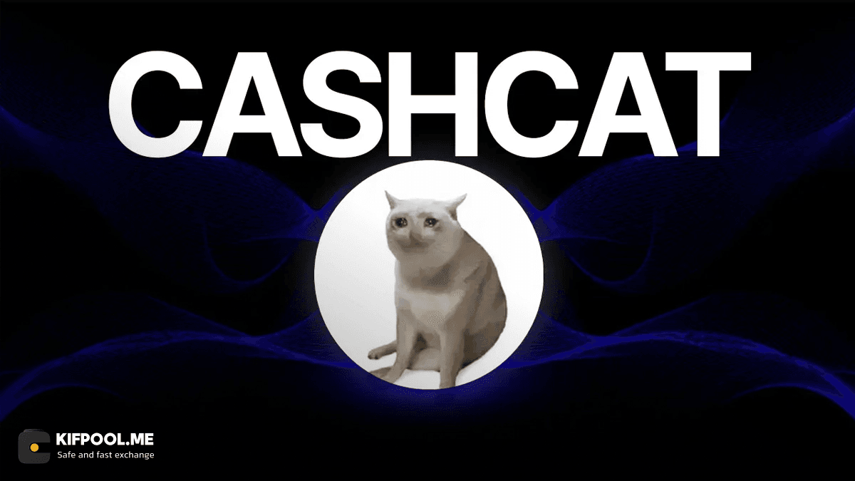 سقوط ۶۵ درصدی CASHCAT در یک هفته؛ پایان یک میم‌کوین دیگر یا شروع یک پامپ جدید؟