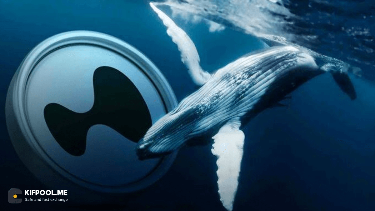 hype-token-transfers-bitcoin-whale