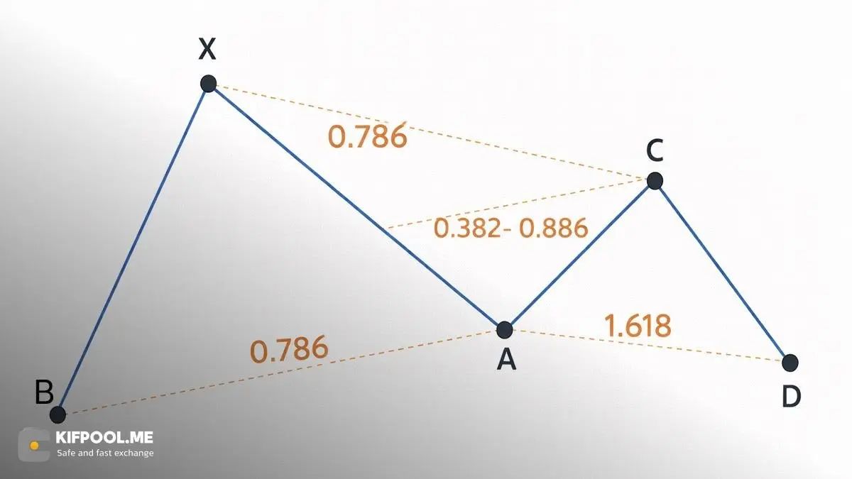 ساختار و آناتومی الگوی پروانه؛ الفبای شناسایی | صرافی کیف پول من