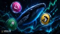 خرید سه آلتکوین توسط نهنگها در سپتامبر ۲۰۲۶؛ UNI، ORCA و PUMP زیر ذرهبین بازار