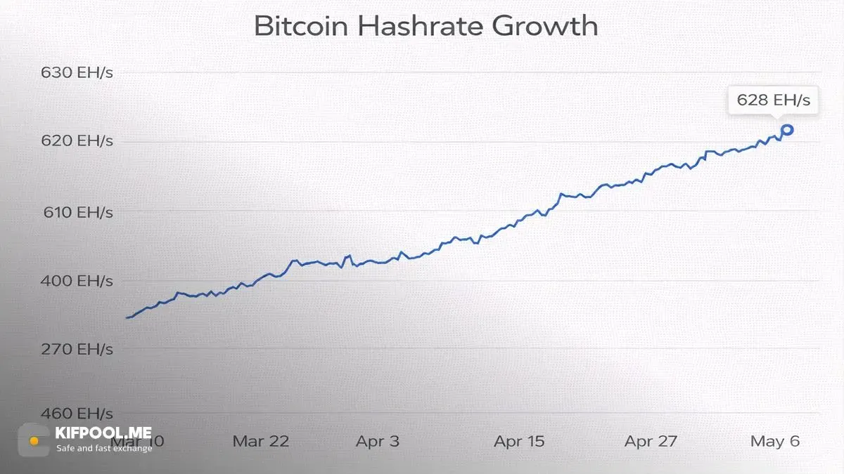 نرخ هش (Hash Rate)؛ دماسنج امنیت و سلامت شبکه | کیف پول من