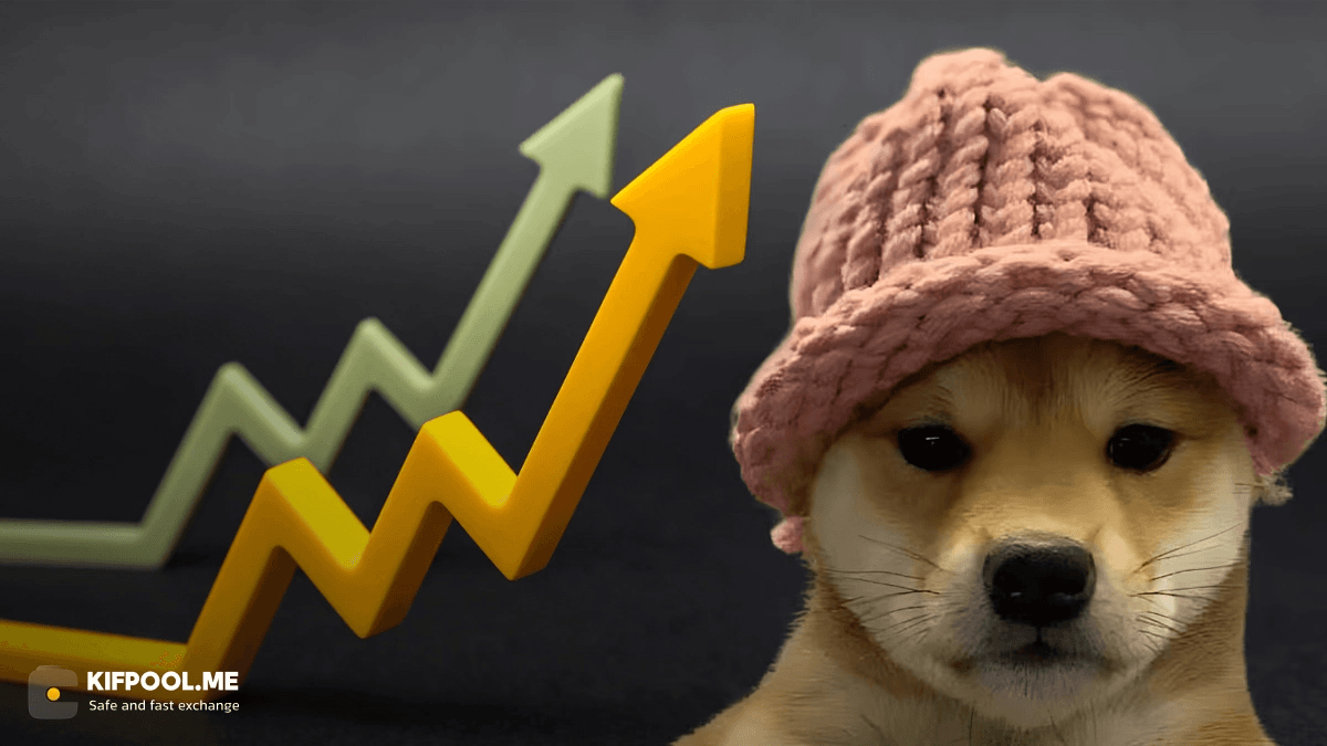 wif-price-correction-risk-solana-memecoin-rally