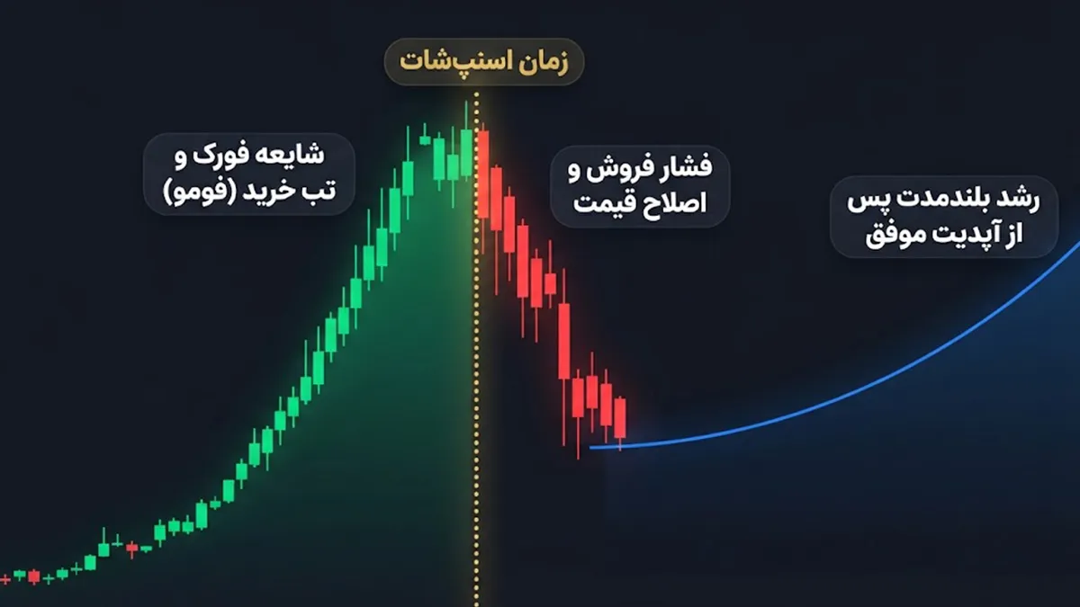 تاثیر هارد فورک و سافت فورک در بازار مالی | تاثیر فورک ها بر قیمت ارزهای دیجیتال | صرافی ارز دیجیتال کیف پول من