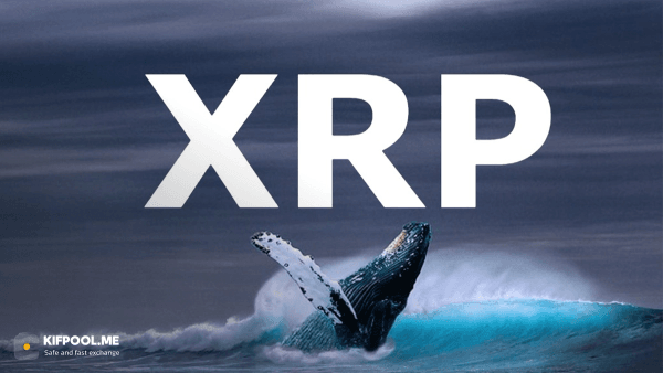 نهنگها به ریپل (XRP) هجوم آوردند؛ آیا کف قیمت نزدیک است؟