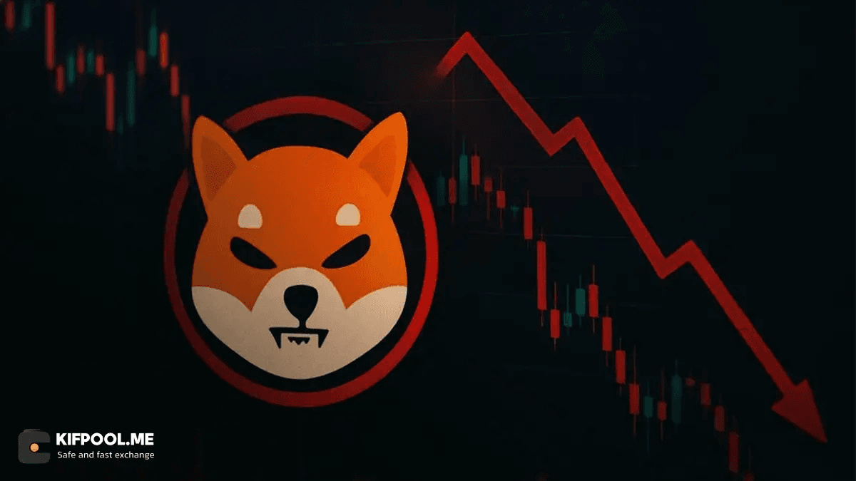 ریزش سنگین SHIB در بازار نزولی؛ سرمایهگذاران هنوز امید دارند؟