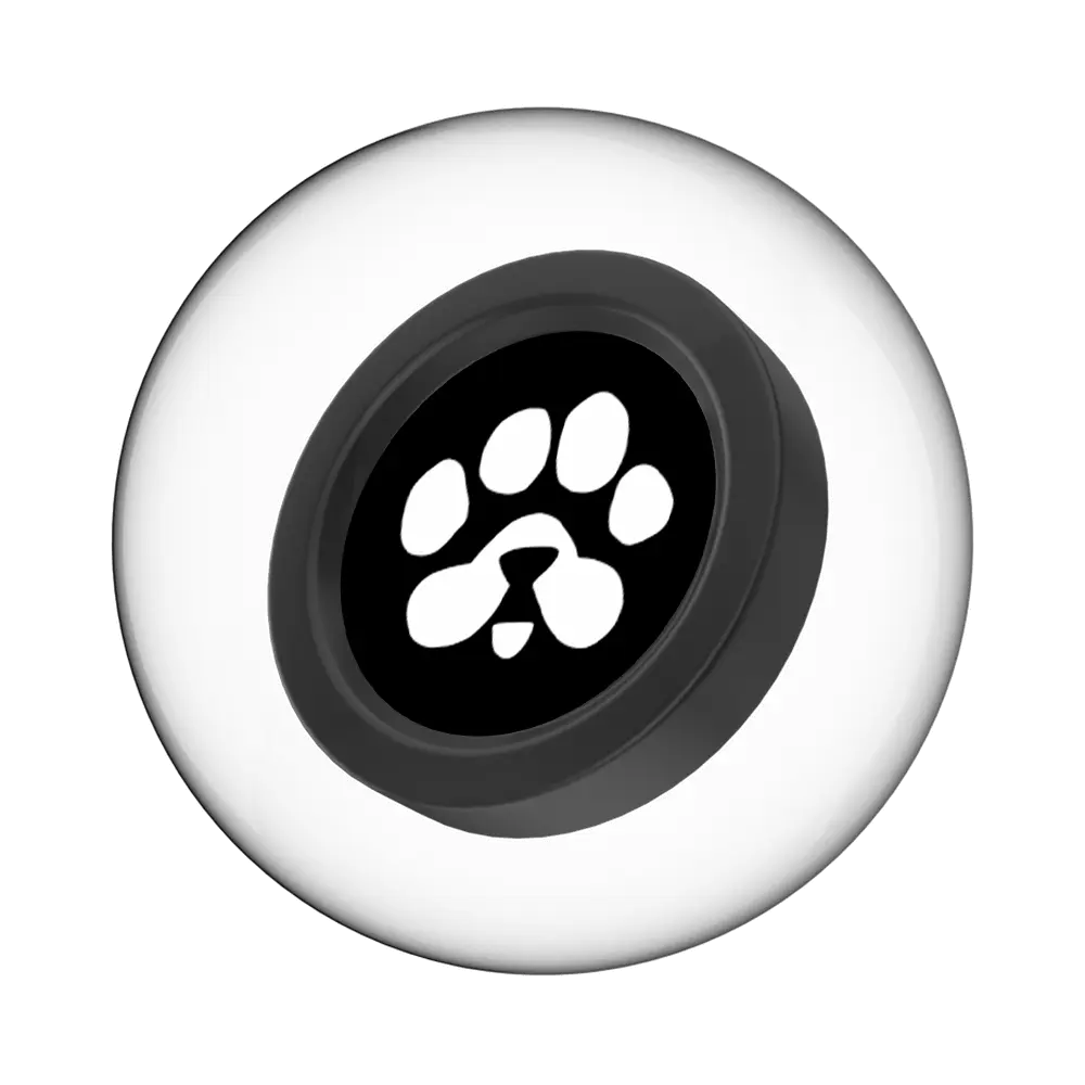 خرید ارز دیجیتال Paws