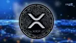 XRP صعود کرد؛ راز رشد ۱۲ درصدی چیست؟