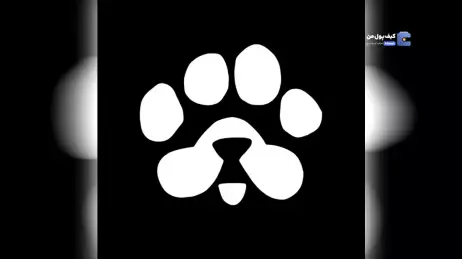 مینی اپ PAWS متوقف می شود؟