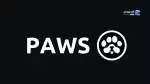 پیش‌فروش توکن پاز (PAWS) در صرافی کیف‌پول من آغاز شد