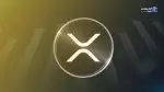 از میان این همه خوبان ریپل (XRP) را برگزیدم؛ پاسخ تحلیلگر سرشناس به چرایی انتخاب سبد تک‌ارزی ریپل