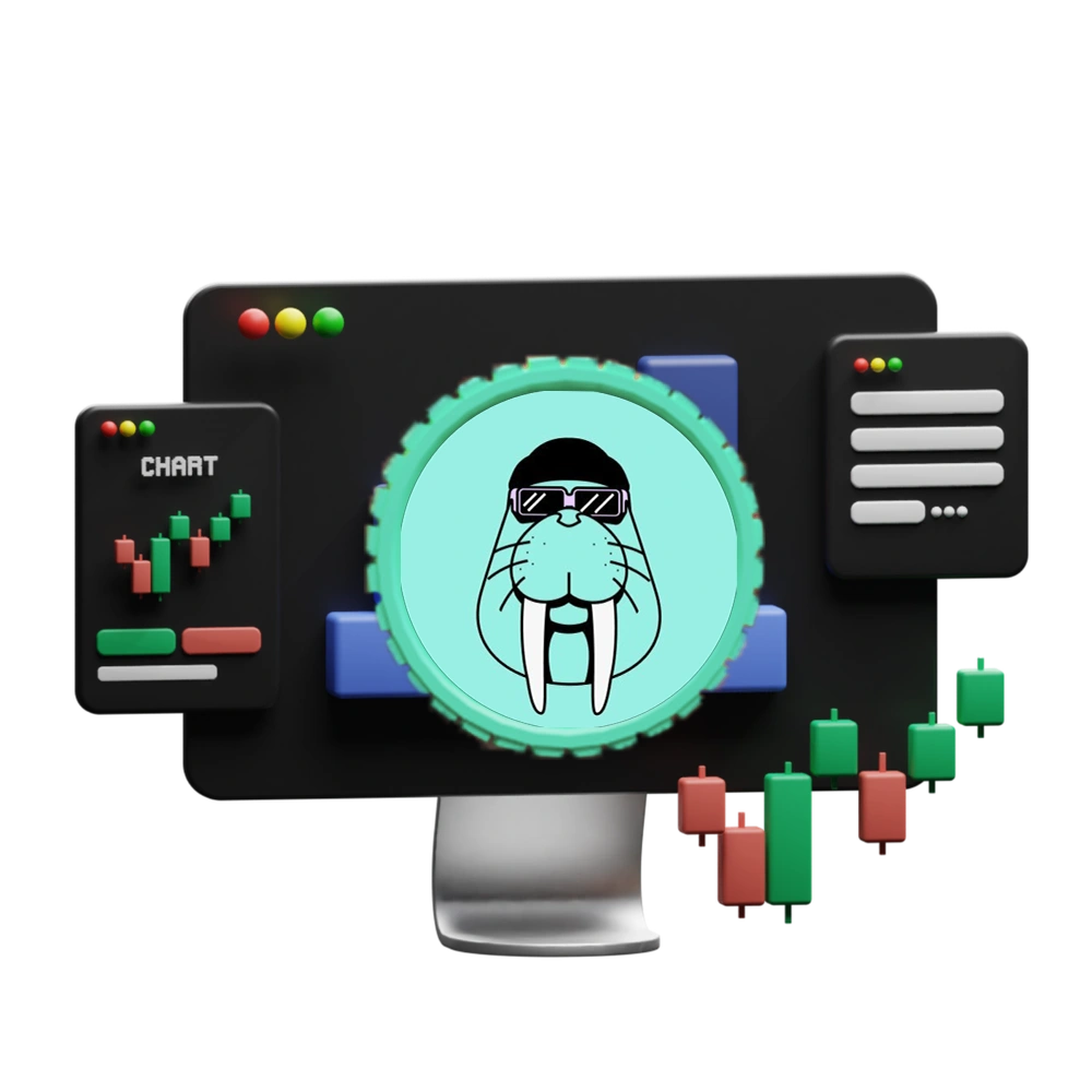 خرید ولروس ارزان