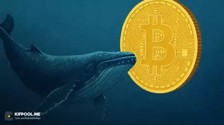 نهنگ‌های بیت کوین در حال فروش تدریجی ذخایر خود هستند؛ ریزش قیمت در راه است؟