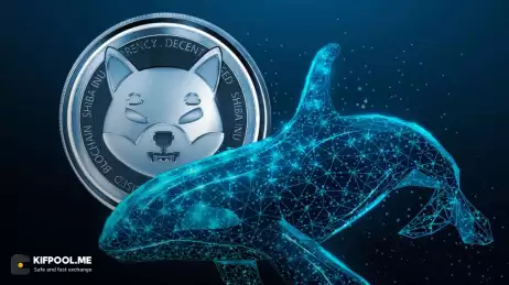 سقوط قیمت شیبا اینو (SHIB)؛ فروش نهنگ‌ها و کاهش نرخ توکن‌سوزی
