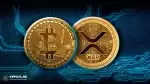 چرا قیمت بیت کوین و ریپل امروز کاهش یافت؟