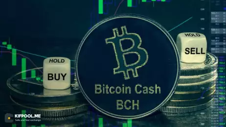 پیش‌بینی قیمت بیت‌کوین کش (BCH)؛ آیا این آلت‌کوین می‌تواند سد قیمتی ۶۰۰ دلار را در هم بشکند؟