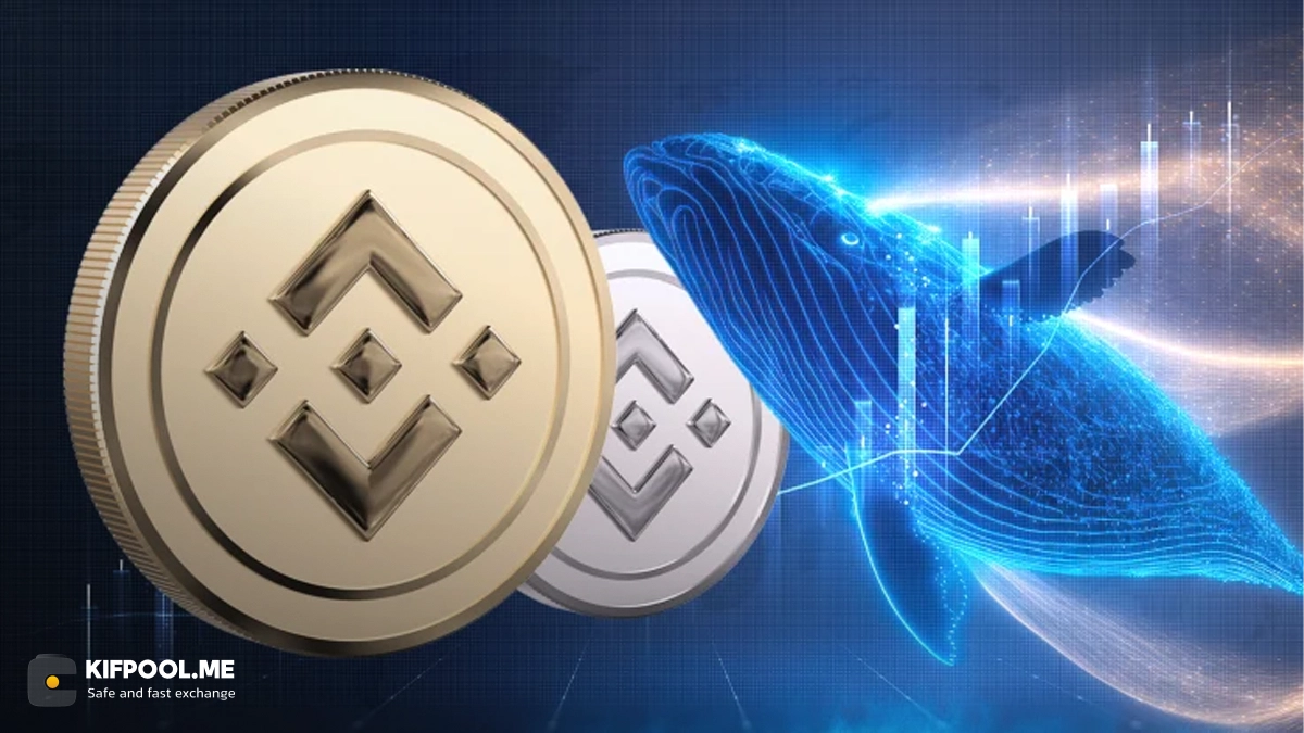 هدف قیمتی ۹۰۰ دلاری برای بایننس کوین (BNB)؛ افزایش فعالیت در صرافی‌ها و تحرک نهنگ‌ها