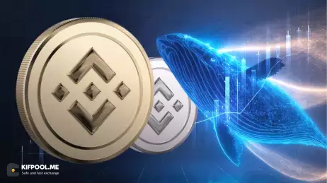 هدف قیمتی ۹۰۰ دلاری برای بایننس کوین (BNB)؛ افزایش فعالیت در صرافی‌ها و تحرک نهنگ‌ها