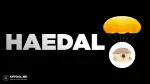 ارز دیجیتال هیدال پروتکل (HAEDAL) چیست + صفر تا صد پروژه هیدال پروتکل