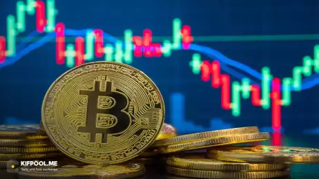 آیا گاوهای بیت‌کوین در اوج سرخوشی‌اند؟ تحلیل‌گر برجسته پاسخ می‌دهد
