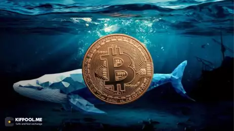 نهنگ‌ها بی‌سروصدا در حال خرید این آلت‌کوین‌ها هستند