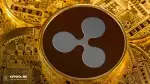 پیش‌بینی جدید قیمت XRP | جهش ۸ برابری یا سقوط؟