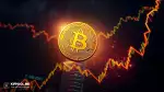 فروش عظیم بیت‌کوین؛ چرا قیمت سقوط نکرد؟
