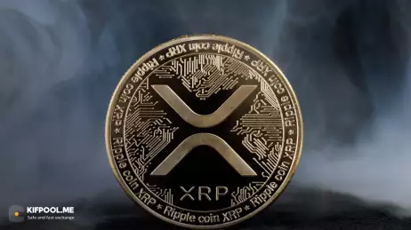 تحلیلگر سرشناس: این سختترین روند صعودی ریپل است، اما همه دارندگان آن ثروتمند خواهند شد