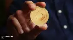 سقوط عرضه LINK؛ آیا چین‌لینک آماده جهش تا ۱۰۰ دلار است؟