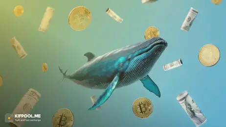 نهنگ‌ها کدام رمزارزها را برای سود سپتامبر خریدند؟