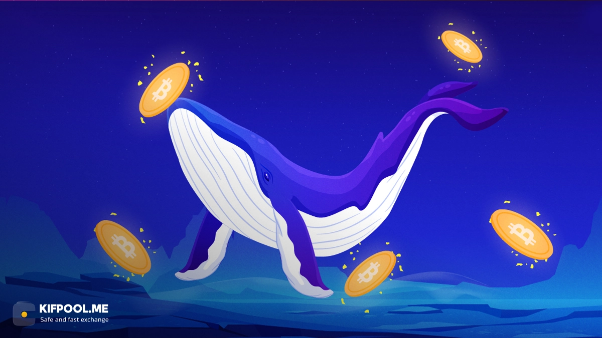 آنچه نهنگها در طول سقوط قیمت خریدند: بهترین آلتکوینهای سهماهه چهارم