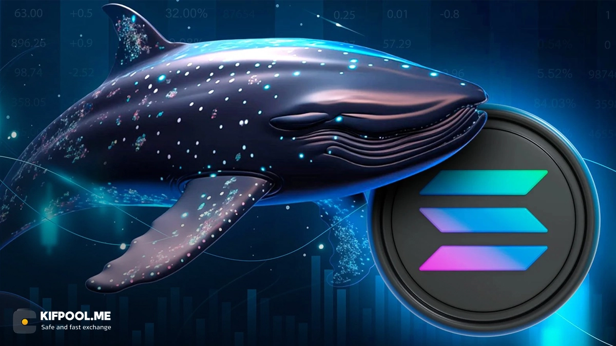 شرط ۲۶ میلیون دلاری یک نهنگ؛ آیا سولانا دوباره صعود می‌کند؟