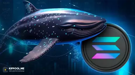 شرط ۲۶ میلیون دلاری یک نهنگ؛ آیا سولانا دوباره صعود می‌کند؟