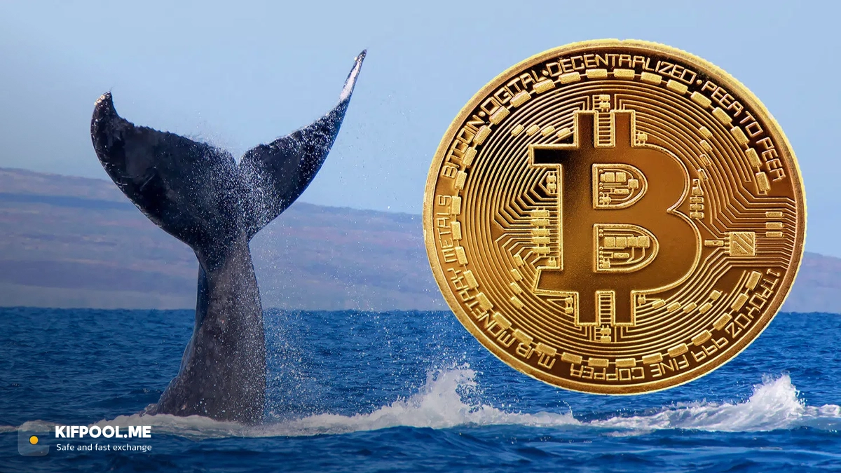 فروش ۴۱ میلیارد دلاری بیت‌کوین توسط نهنگ‌های قدیمی؛ مقصد بعدی ۷۰ هزار دلار؟