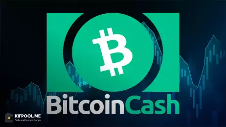 بیت کوین‌کش دوباره در مسیر ۱۰ رمزارز برتر؛ این بار با سرمایه واقعی