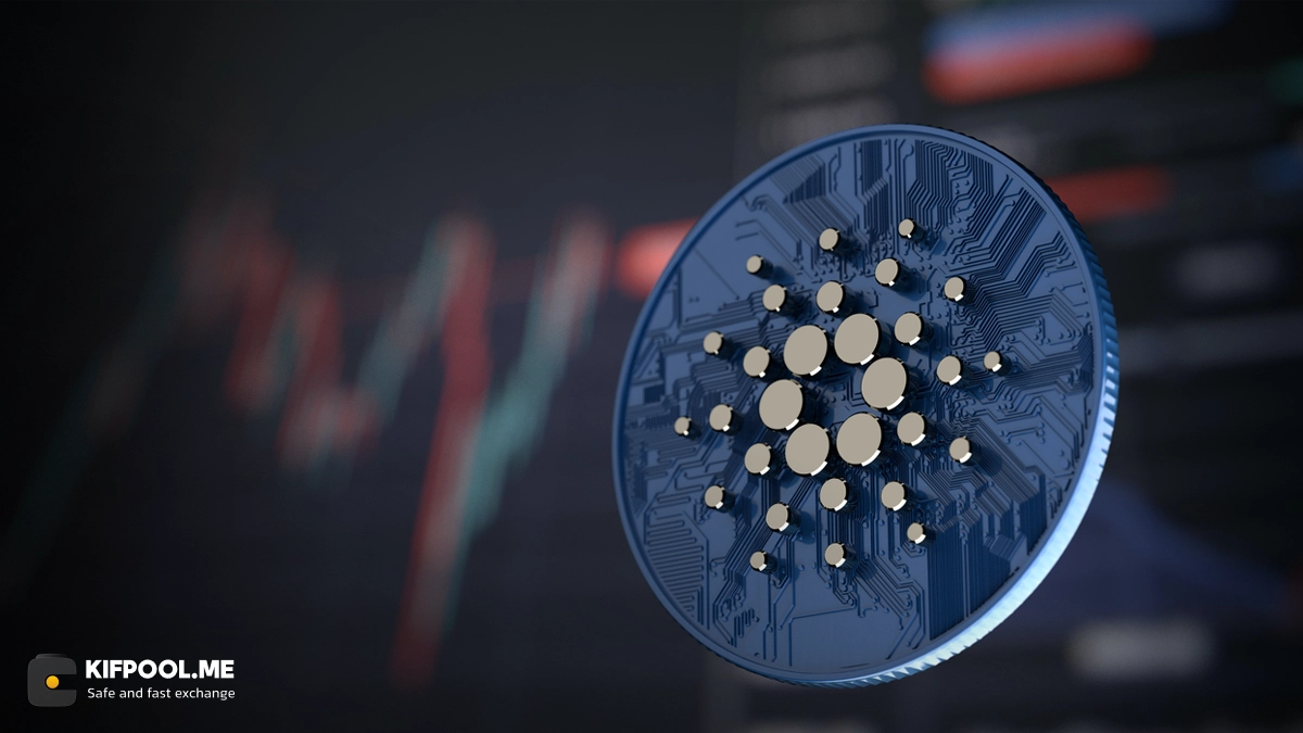 تغییر بزرگ در کاردانو؛ رأیگیری برقآسا مسیر شبکه را عوض کرد!