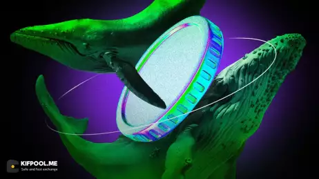 رمزارزهایی که نهنگ‌ها برای سود احتمالی در دسامبر ۲۰۲۵ می‌خرند