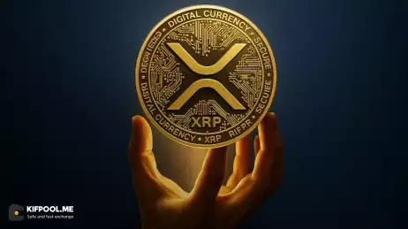 آیا واقعا داشتن ۱۰ هزار XRP رمز موفقیت در کریپتو است؟