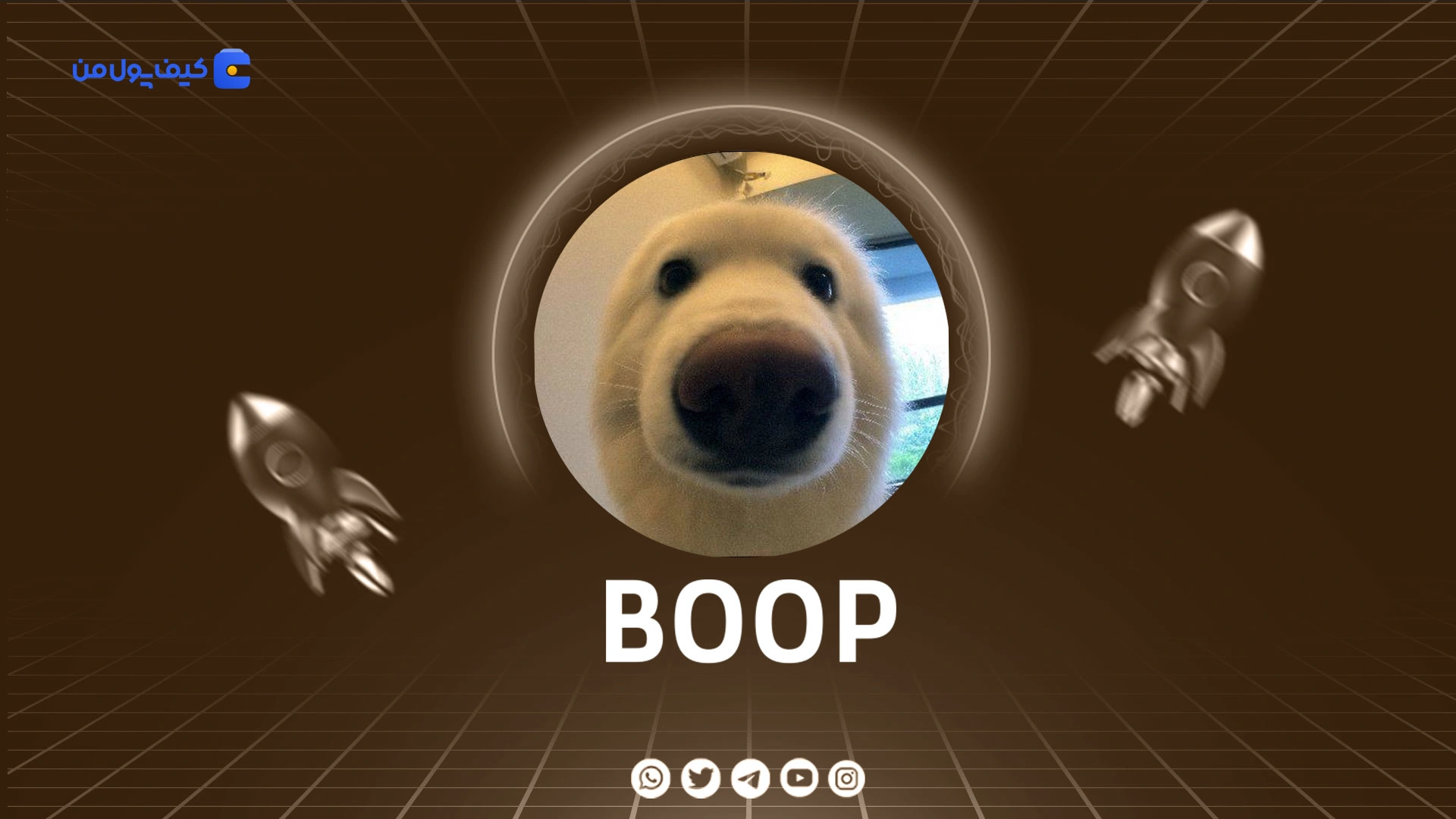 نمودار لحظه ای ارز دیجیتال بوپ BOOP در صرافی کیف پول من