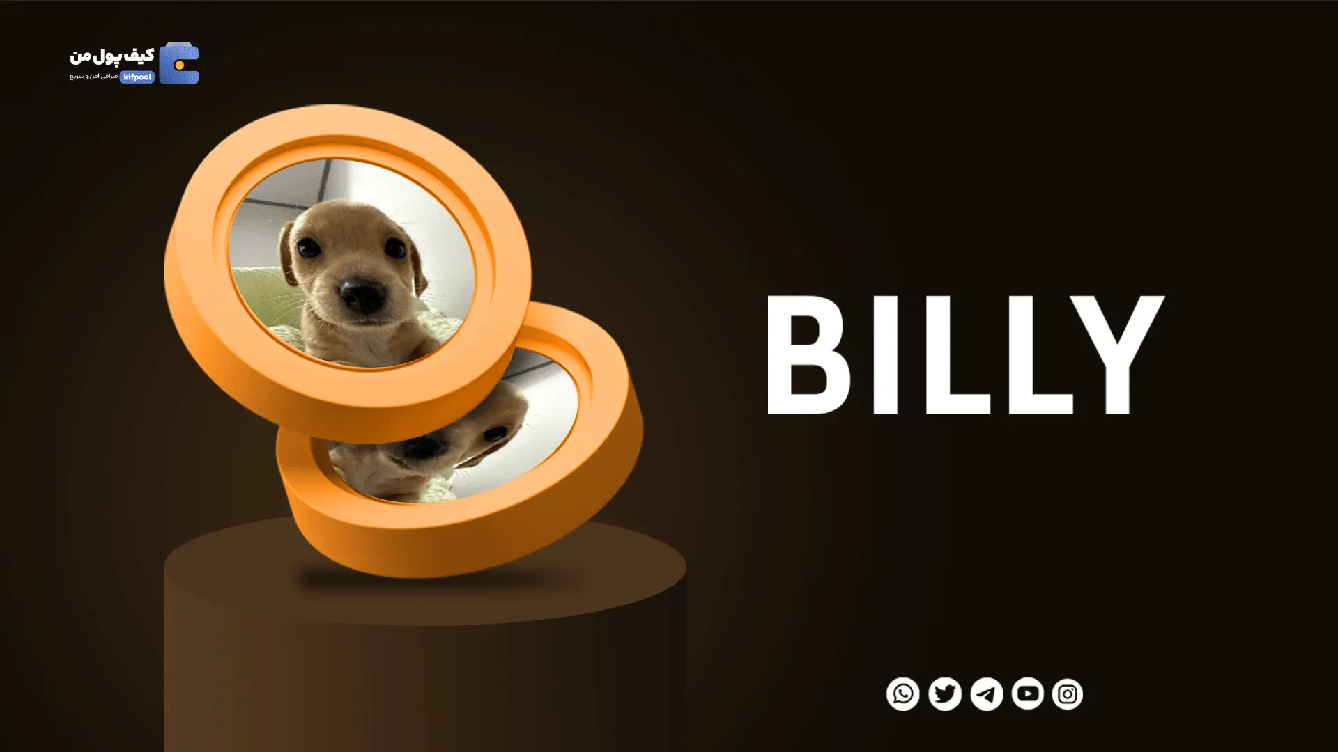 خرید ارز دیجیتال BILLY با کمترین کارمزد | واریز انی به کیف پول