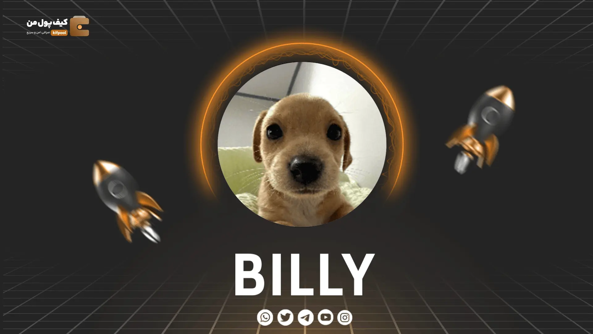 خرید و فروش ارز دیجیتال BILLY | همراه با نمودار حرفه ای | کیف پول من